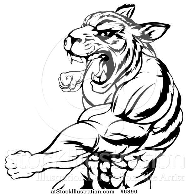 Vector Illustration of a Black and White Vicious Roaring Muscular Tiger Man Punching