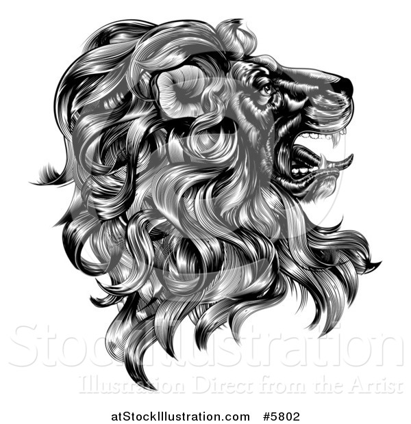 Vector Illustration of a Black and White Vintage Engraved Profiled Heraldic Lion Head