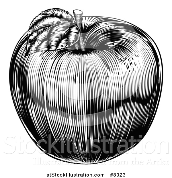 Vector Illustration of a Black and White Vintage Woodcut Apple