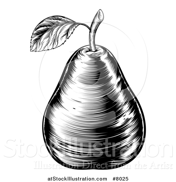 Vector Illustration of a Black and White Vintage Woodcut Pear