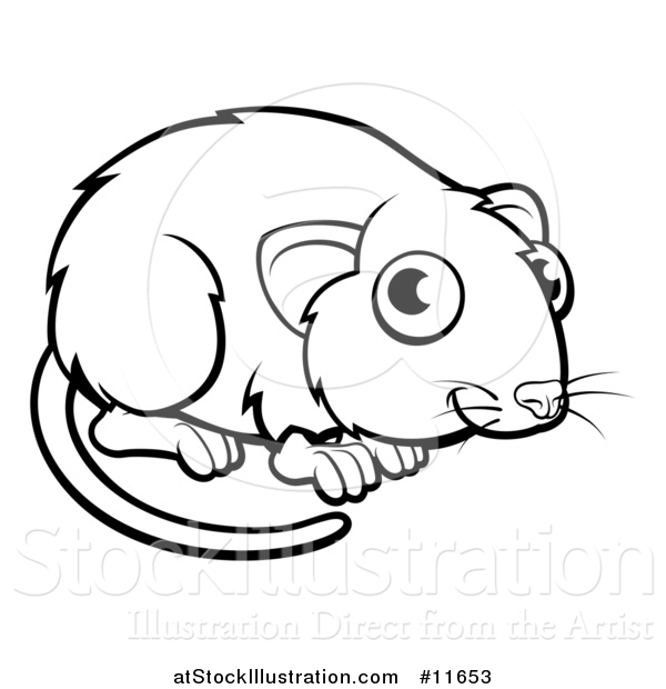 Vector Illustration of a Black and White Vole