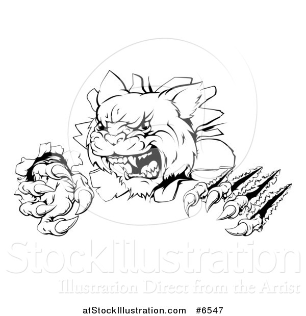 Vector Illustration of a Black and White Wild Cat Slashing Through a Wall