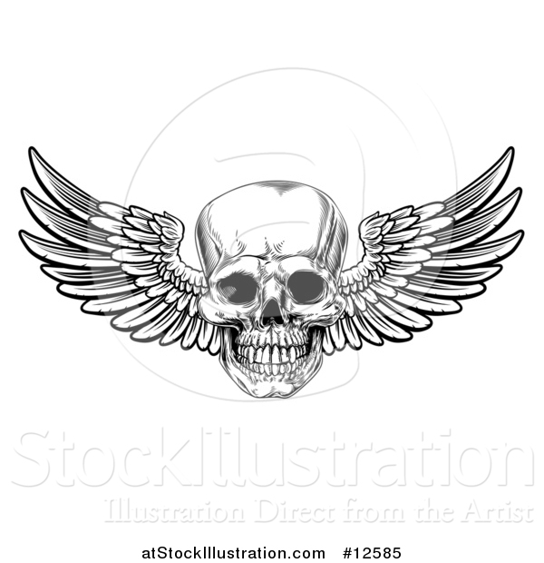 Vector Illustration of a Black and White Winged Human Skull
