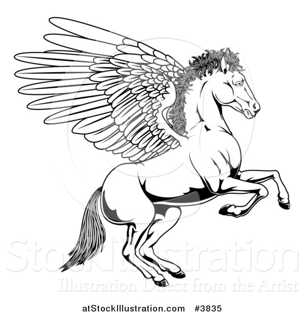 Vector Illustration of a Black and White Winged Pegasus Horse Rearing Outline