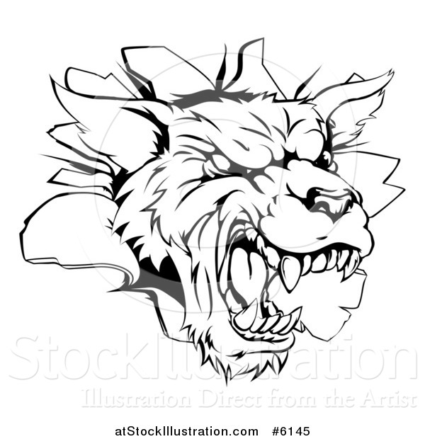 Vector Illustration of a Black and White Wolf Mascot Head Breaking Through a Wall