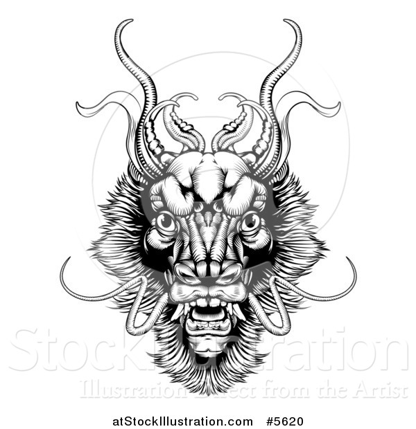 Vector Illustration of a Black and White Woodcut Dragon Head