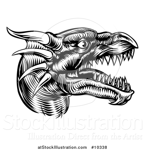 Vector Illustration of a Black and White Woodcut Dragon Head in Profile