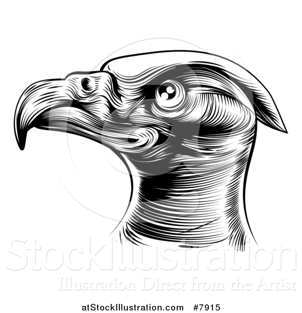 Vector Illustration of a Black and White Woodcut or Engraved Bald Eagle Head