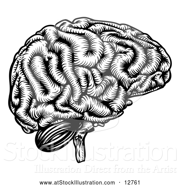 Vector Illustration of a Black Etched Human Brain