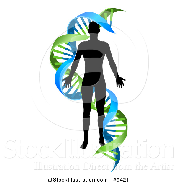 Vector Illustration of a Black Silhoeutted Person in a Blue and Green Double Helix Dna Strand