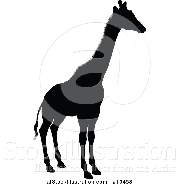 Vector Illustration of a Black Silhouetted Giraffe