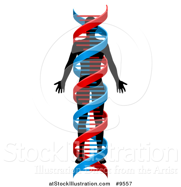 Vector Illustration of a Black Silhouetted Person in a Blue and Red Double Helix Dna Strand