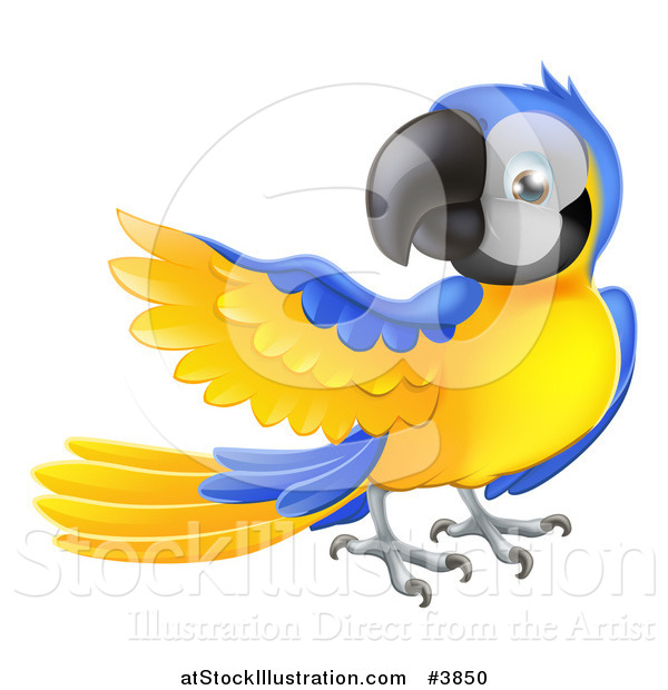 Vector Illustration of a Blue and Yellow Parrot Presenting