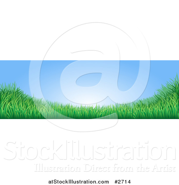 Vector Illustration of a Blue Sky with Copyspace and Green Grass Website Banner