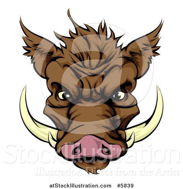Vector Illustration of a Brown Aggressive Boar Mascot Face