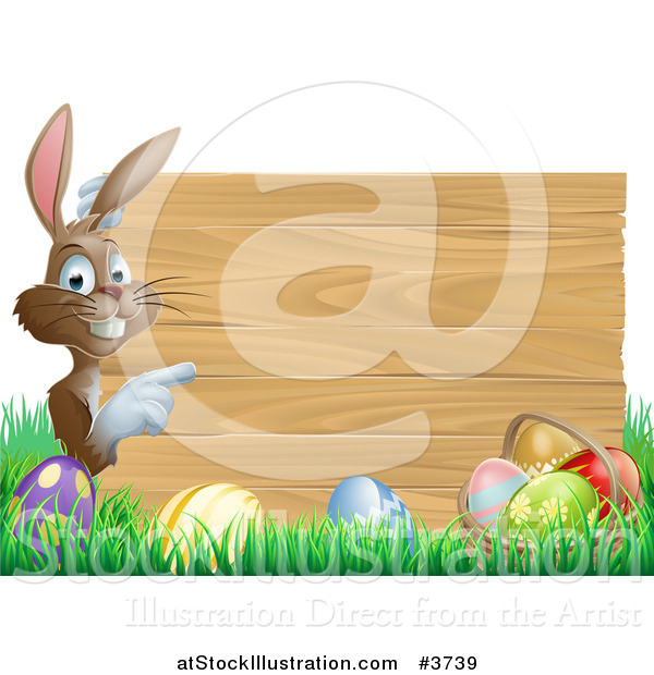 Vector Illustration of a Brown Bunny Pointing to a Wooden Sign over Easter Eggs in Grass