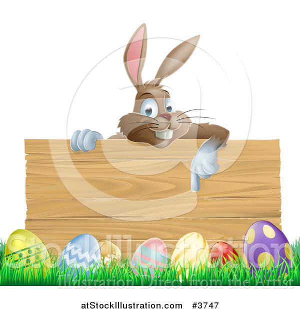 Vector Illustration of a Brown Easter Bunny Pointing down at a Wood Sign over Eggs in Grass