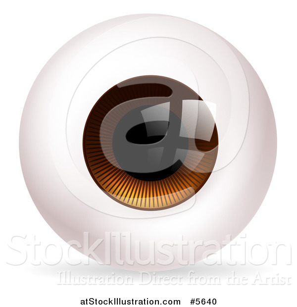 Vector Illustration of a Brown Eyeball
