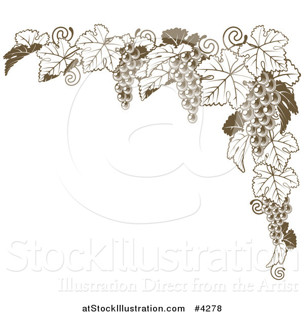 Vector Illustration of a Brown Grape Vine Corner Border