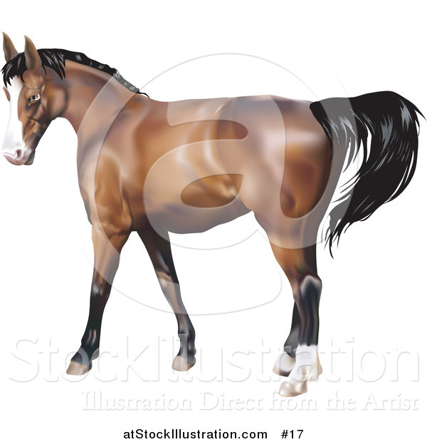 Vector Illustration of a Brown Horse with a Black Mane