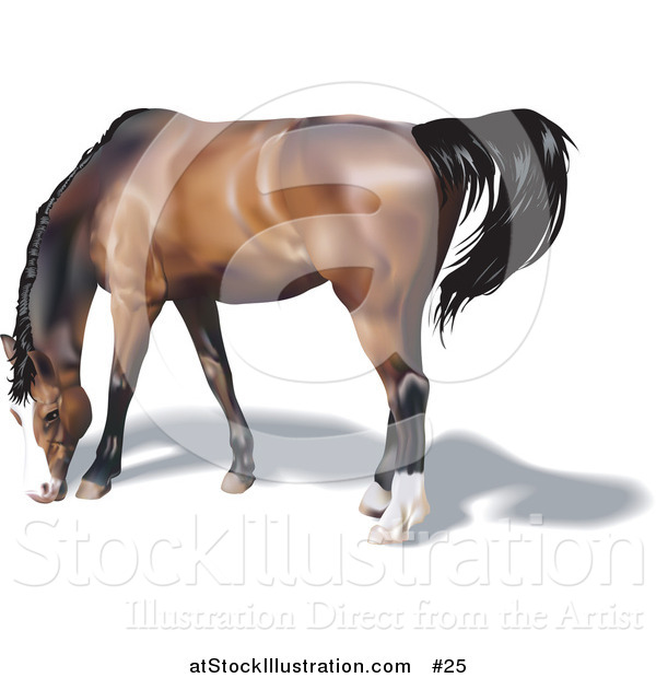 Vector Illustration of a Brown Horse with a Black Mane Grazing