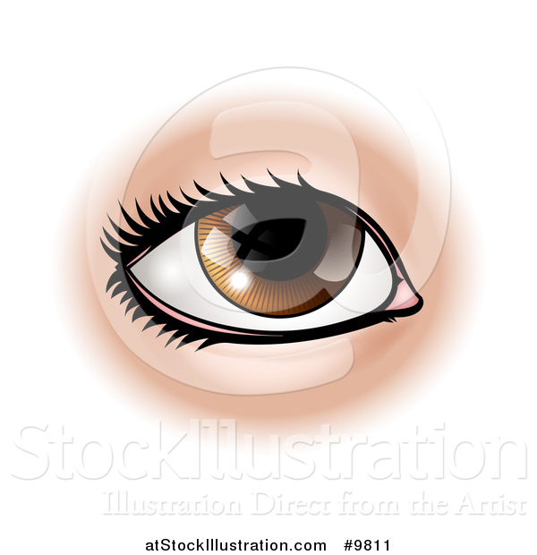 Vector Illustration of a Brown Human Eye