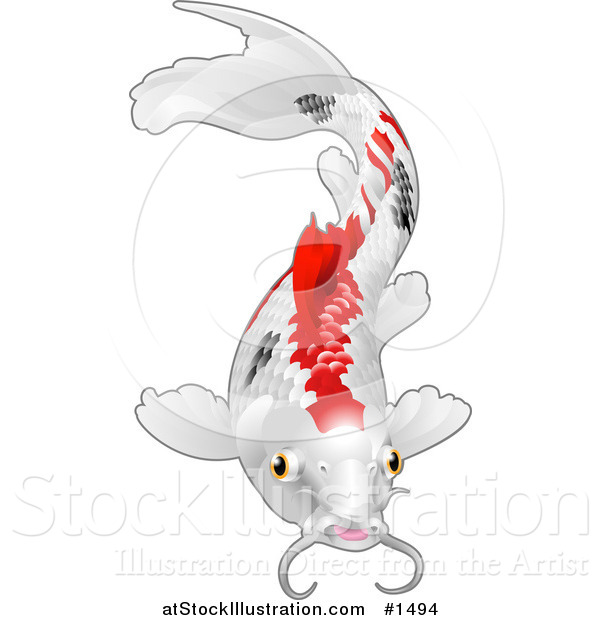 Vector Illustration of a Calico Koi Fish with Red and Black Markings