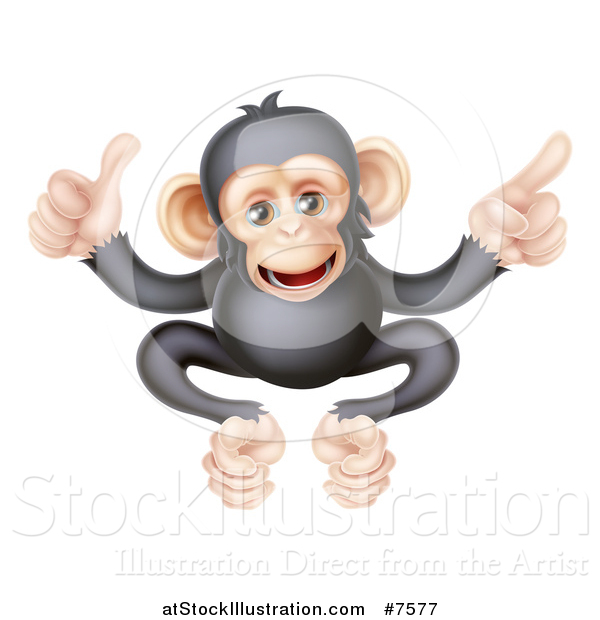 Vector Illustration of a Cartoon Black and Tan Happy Baby Chimpanzee Monkey Giving a Thumb up and Pointing