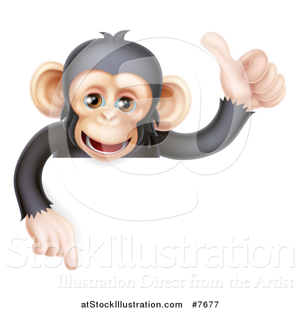 Vector Illustration of a Cartoon Black and Tan Happy Baby Chimpanzee Monkey Giving a Thumb up and Pointing down over a Sign