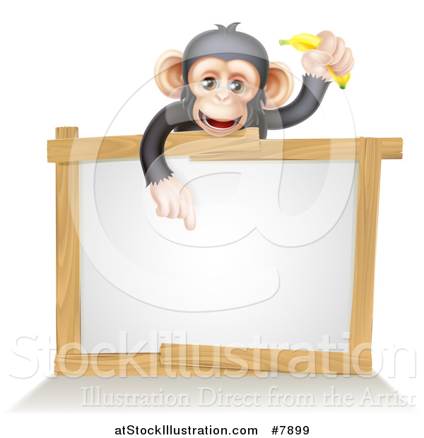 Vector Illustration of a Cartoon Black and Tan Happy Baby Chimpanzee Monkey Holding a Banana and Pointing down over a Blank White Sign Framed in Wood