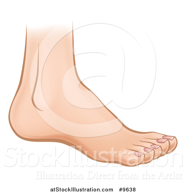 Vector Illustration of a Cartoon Caucasian Human Foot
