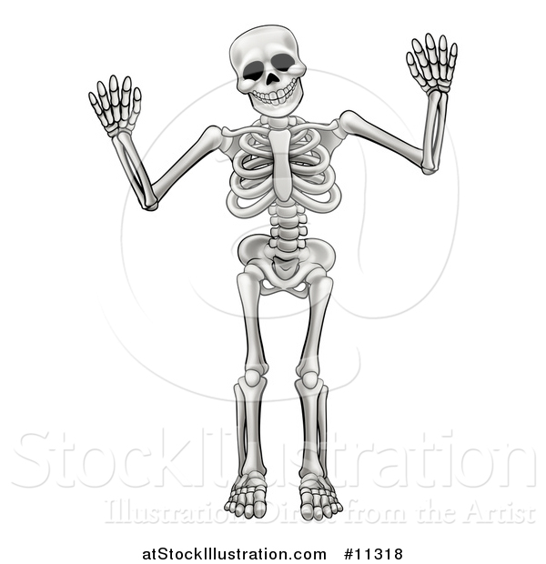 Vector Illustration of a Cartoon Grayscale Human Skeleton Holding up Both Hands