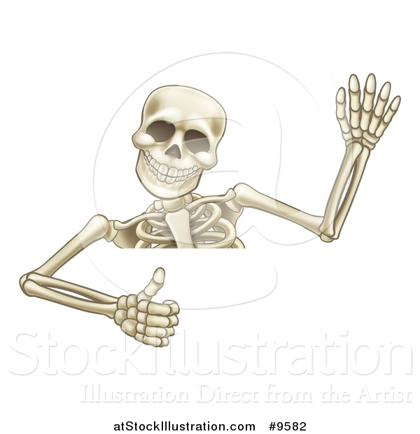 Vector Illustration of a Cartoon Human Skeleton Waving and Giving a Thumb up over a Sign