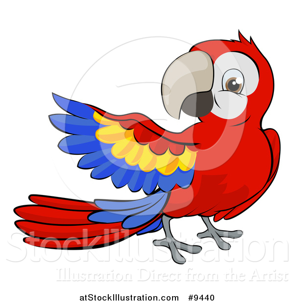 Vector Illustration of a Cartoon Scarlet Macaw Parrot Presenting