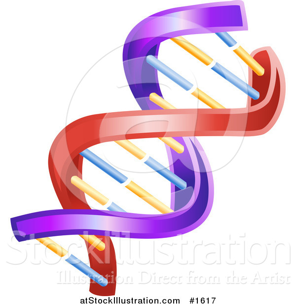 Vector Illustration of a Colorful Red, Purple, Orange and Blue Twisting DNA Helix