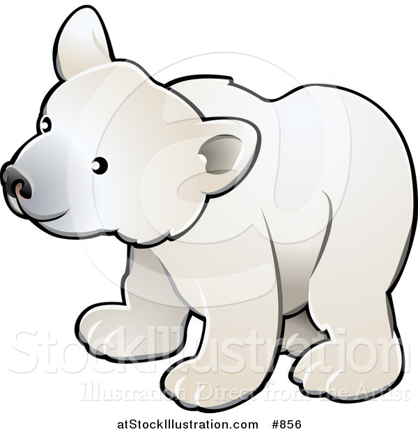 Vector Illustration of a Curious White Arctic Polar Bear Cub (Ursus Maritimus)