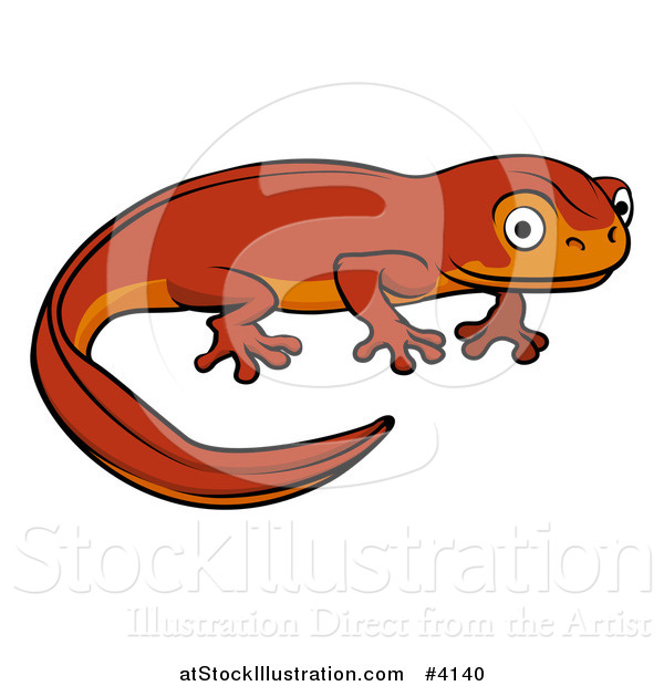 Vector Illustration of a Cute Orange Newt