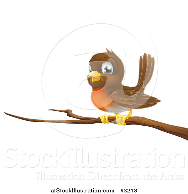 Vector Illustration of a Cute Robin Bird Perched on a Branch