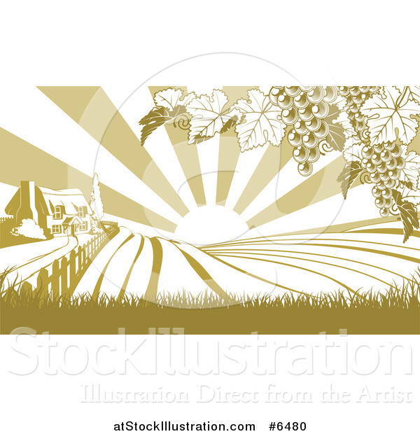 Vector Illustration of a Farm House and Rolling Hills with Winery Grape Vines and Sun Rays in Green and White
