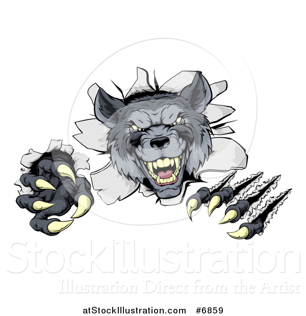 Vector Illustration of a Ferocious Gray Wolf Slashing and Breaking Through a Wall