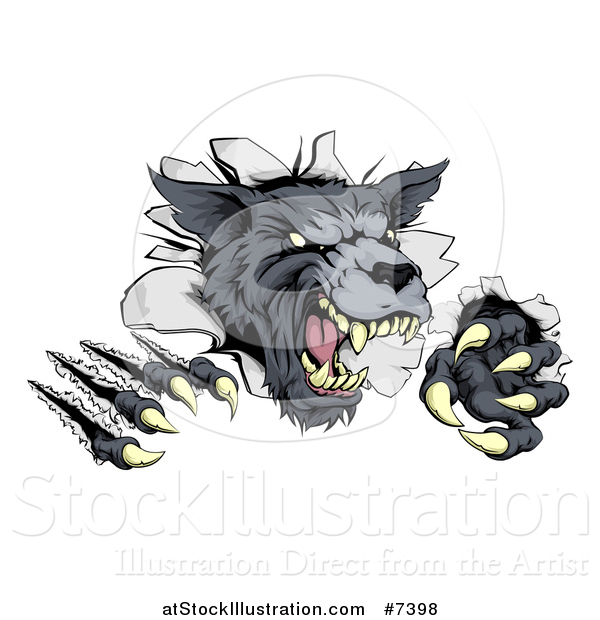 Vector Illustration of a Ferocious Gray Wolf Slashing Through a Wall