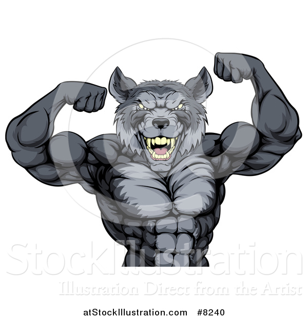 Vector Illustration of a Firece Muscular Gray Wolf Man Mascot Flexing His Muscles, from the Waist up