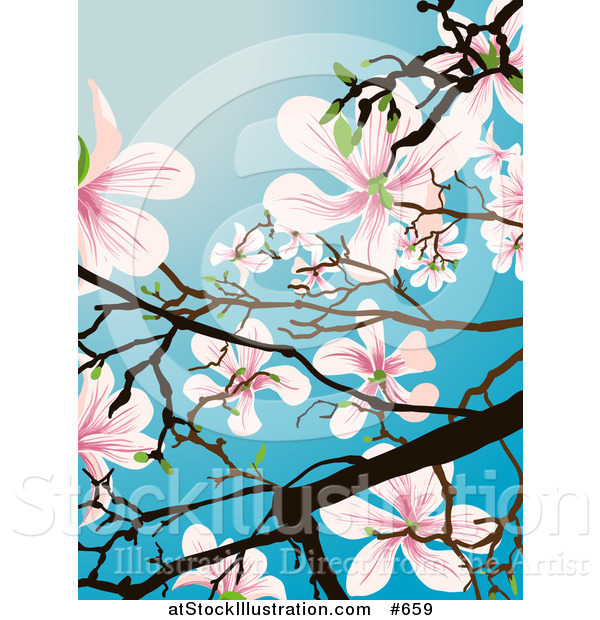 Vector Illustration of a Flowering Magnolia Tree over Blue