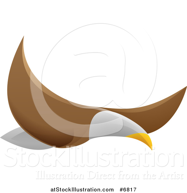 Vector Illustration of a Flying Bald Eagle