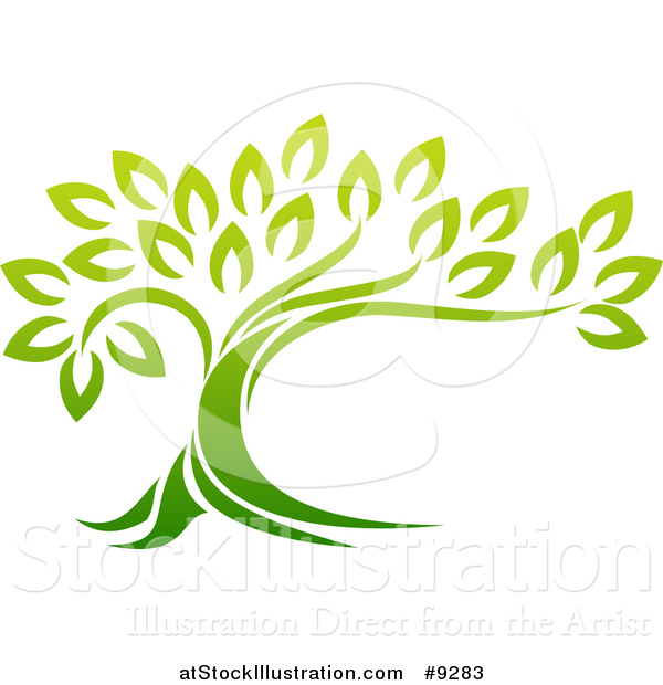 Vector Illustration of a Gradient Green Mature Tree with a Curving Trunk
