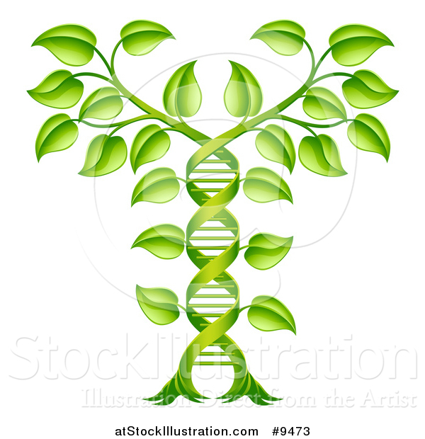 Vector Illustration of a Gradient Green Plant Forming a Dna Caduceus