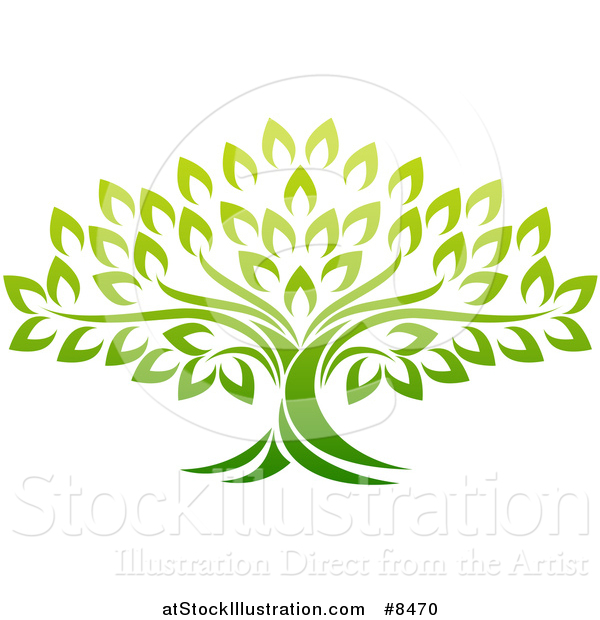 Vector Illustration of a Gradient Mature Green Tree