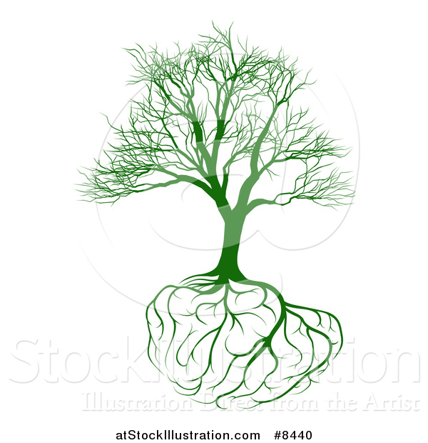 Vector Illustration of a Green Bare Tree with Brain Roots