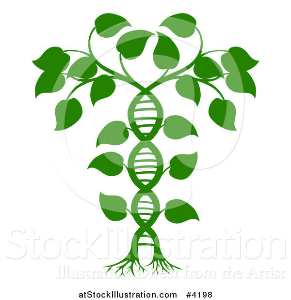 Vector Illustration of a Green DNA Double Helix Plant