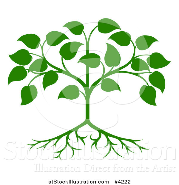 Vector Illustration of a Green Seedling Tree with Leaves and Roots